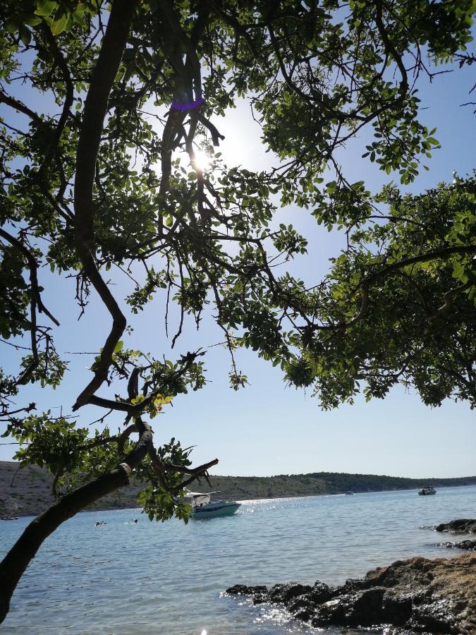 Apartmani Katarina Barbat na Rabu Exteriér fotografie